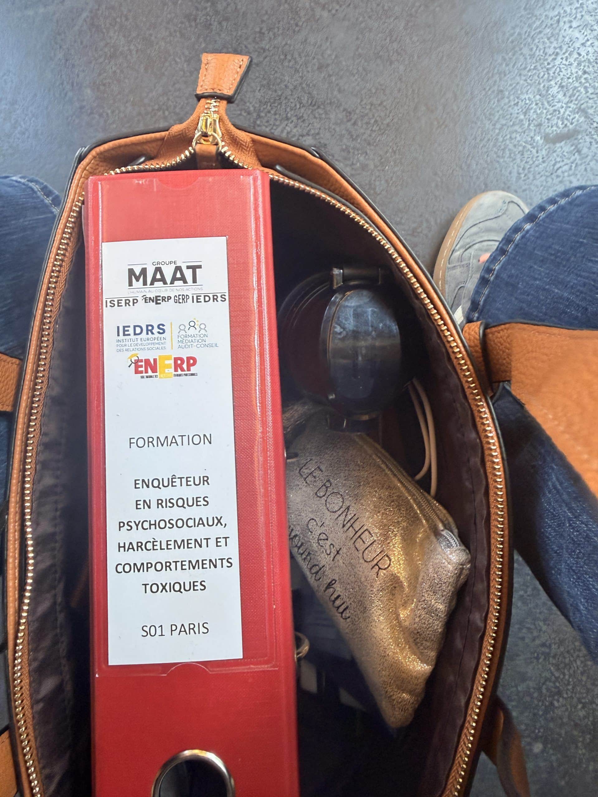 Jour 1 enquêtrice RPS, harcèlements et comportements toxiques