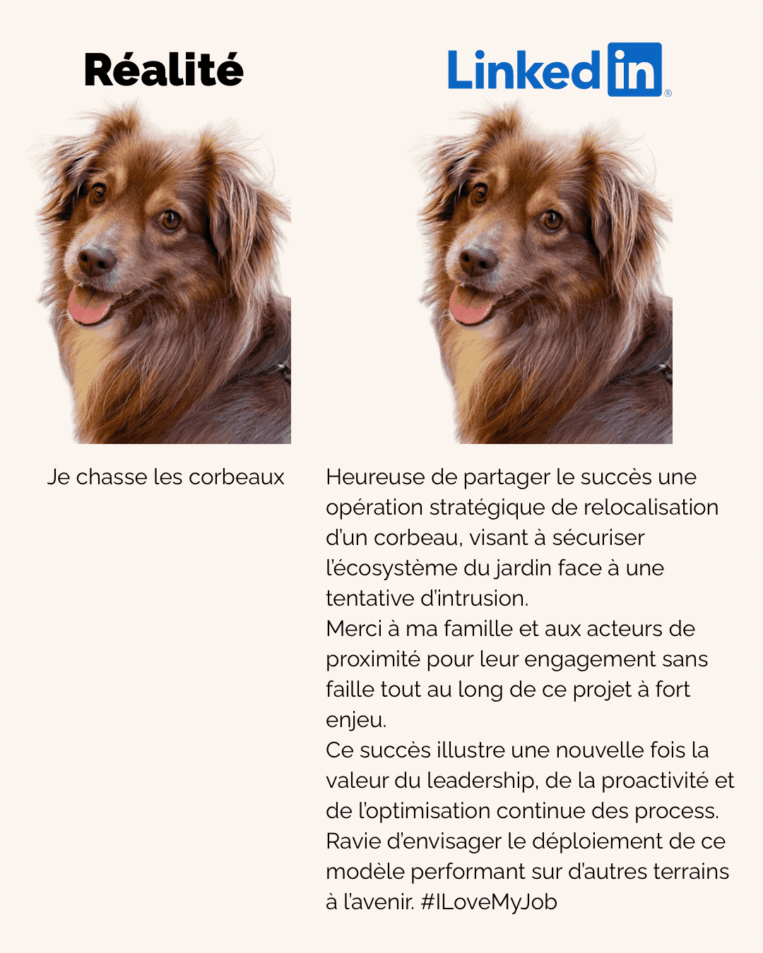 Linkedin et sa novlangue