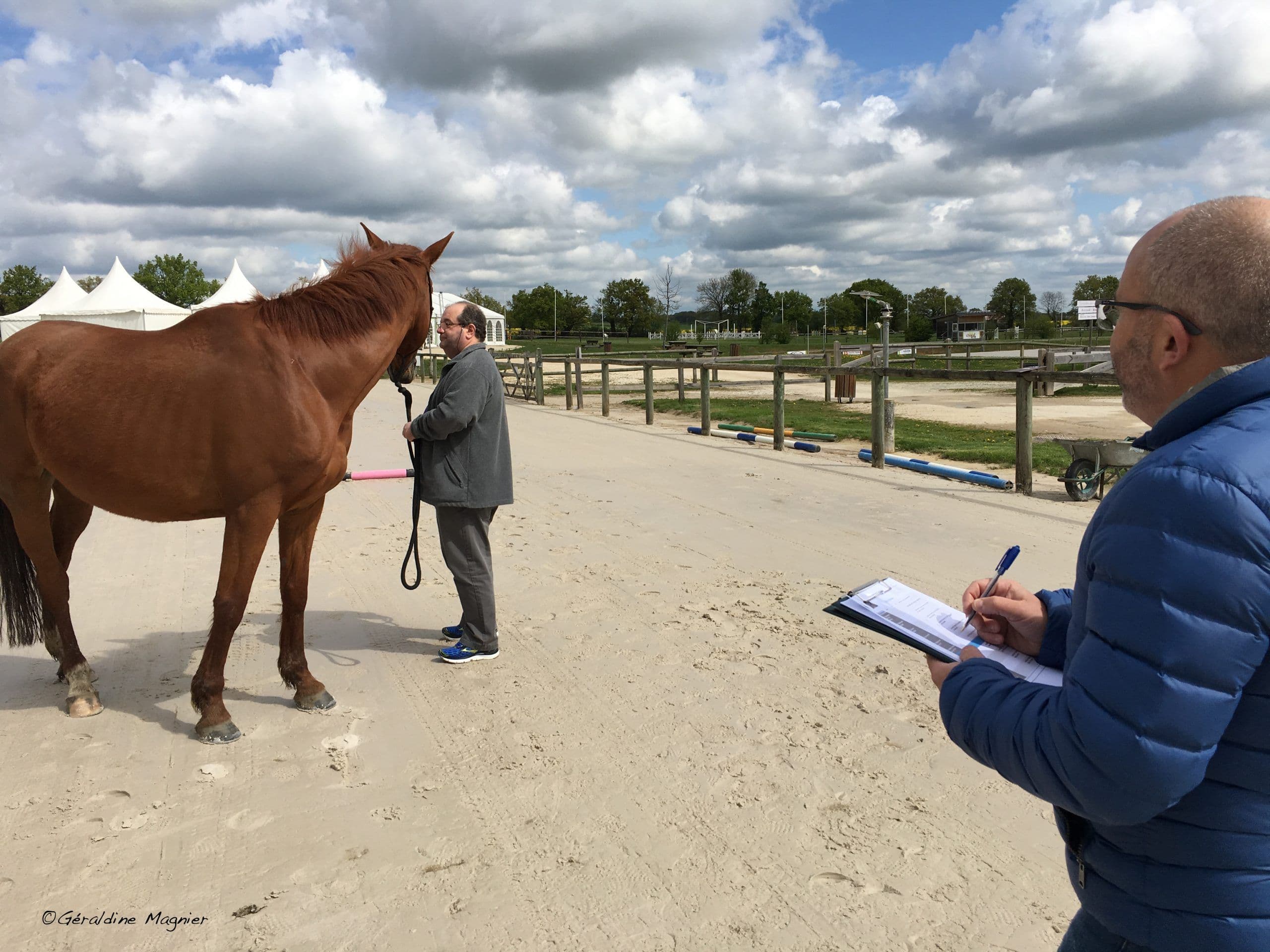 Cheval et management : un duo de choc !