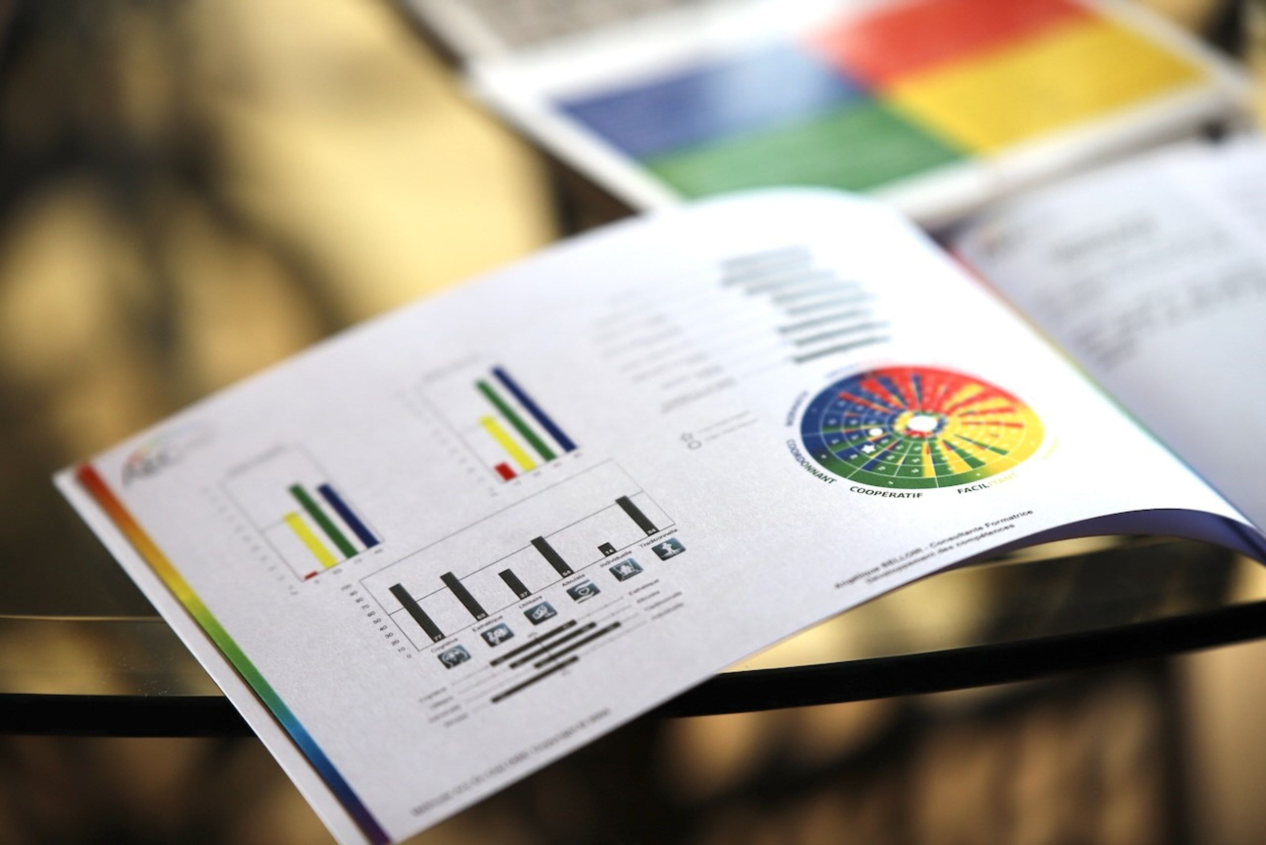 Rapport d'audit et de diagnostic RPS : graphiques et analyse des risques psychosociaux en entreprise