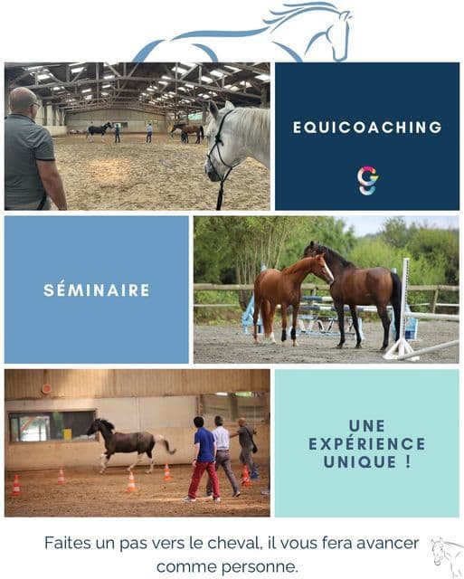 Faite un pas vers le cheval …