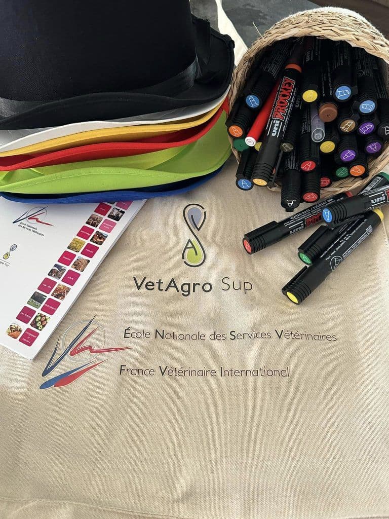 L’école vétérinaire de Lyon en couleurs !