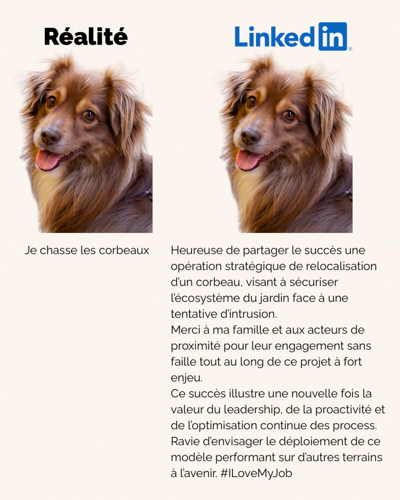 Linkedin Géraldine Brigot